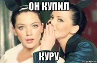 он купил куру