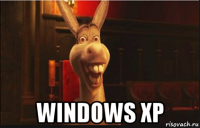  windows xp