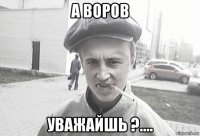 а воров уважайшь ?....