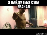 я найду тебя сука ебаная 