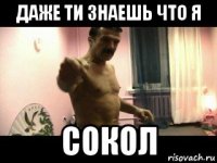 даже ти знаешь что я сокол