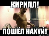 кирилл! пошёл нахуй!