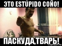 это estúpido coño! паскуда,тварь!