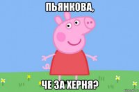 пьянкова, че за херня?