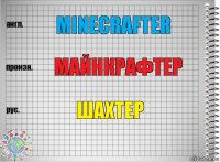 Minecrafter Майнкрафтер Шахтер