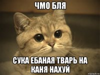 чмо бля сука ебаная тварь на каня нахуй