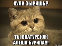 хули зыришь? ты внатуре как алеша-бурила!!!