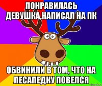 понравилась девушка,написал на пк обвинили в том, что на лесапедку повелся