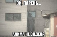  алима не видел?