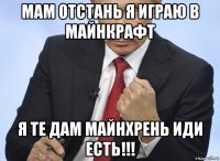 мам отстань я играю в майнкрафт я те дам майнхрень иди есть!!!