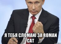  я тебя сломаю за roman cat