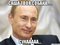 саша твоя собака..... сукааааа...