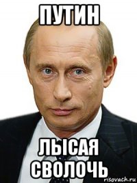 путин лысая сволочь