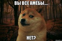 вы все амёбы.... нет?