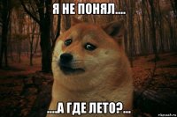 я не понял.... ....а где лето?...