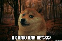  я сплю или нет???