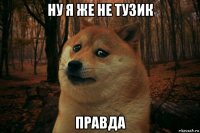 ну я же не тузик правда