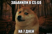 забанили в cs:go на 7 дней