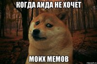 когда аида не хочет моих мемов