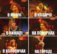 в жовчі в козарчі в нижалі на помірках в холопичах на городі