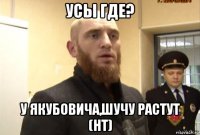 усы где? у якубовича,шучу растут (нт)