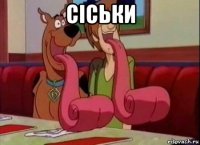 сіськи 