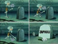 zapxuli