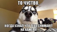 то чуство, когда узнал что тебе снимают на камеру!