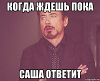 когда ждешь пока саша ответит