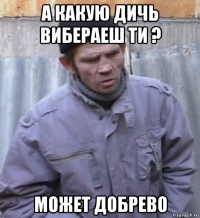 а какую дичь вибераеш ти ? может добрево