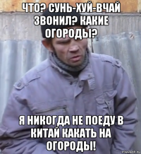 что? сунь-хуй-вчай звонил? какие огороды? я никогда не поеду в китай какать на огороды!