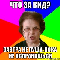 что за вид? завтра не пущу. пока не исправишься