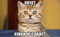 кочет хуйни не скажет