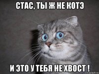 стас, ты ж не котэ и это у тебя не хвост !