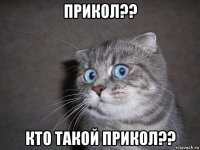 прикол?? кто такой прикол??