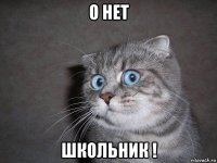 о нет школьник !