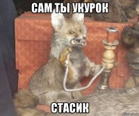 сам ты укурок стасик