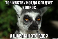 то чувству когда следует вопрос а шарлык это где ?