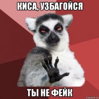 киса, узбагойся ты не фейк