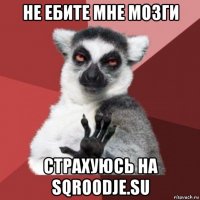 не ебите мне мозги страхуюсь на sqroodje.su