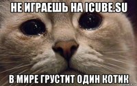 не играешь на icube.su в мире грустит один котик