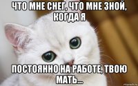 что мне снег, что мне зной, когда я постоянно на работе, твою мать...