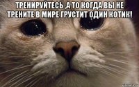 тренируйтесь ,а то когда вы не трените в мире грустит один котик! 