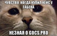 чувство, когда купил кейс у габена незная о gocs.pro