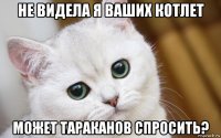 не видела я ваших котлет может тараканов спросить?