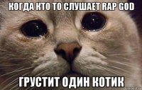 когда кто то слушает rap god грустит один котик