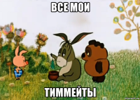 все мои тиммейты