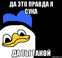 да это правда я сука да ты такой