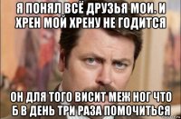 я понял всё друзья мои. и хрен мой хрену не годится он для того висит меж ног что б в день три раза помочиться