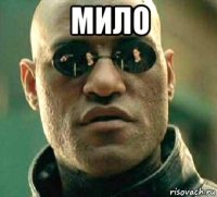 мило 